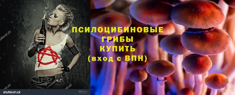 Псилоцибиновые грибы Magic Shrooms  Ессентуки 