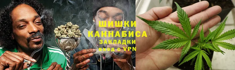 где купить наркотик  Ессентуки  Марихуана Amnesia 